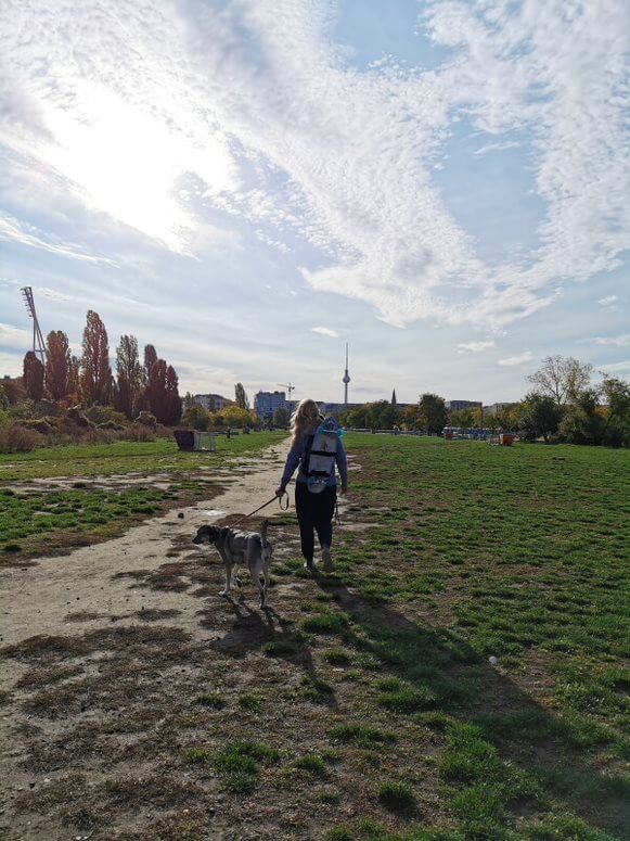 Lomilomi Massage Berlin - Bianca Mietke - Spaziergang mit Hund im Mauerpark Prenzlauer Berg, mit Berlner Skyline und Fernsehturm